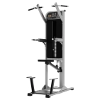 exigo-assisted-chin-dip-station-1.jpg
