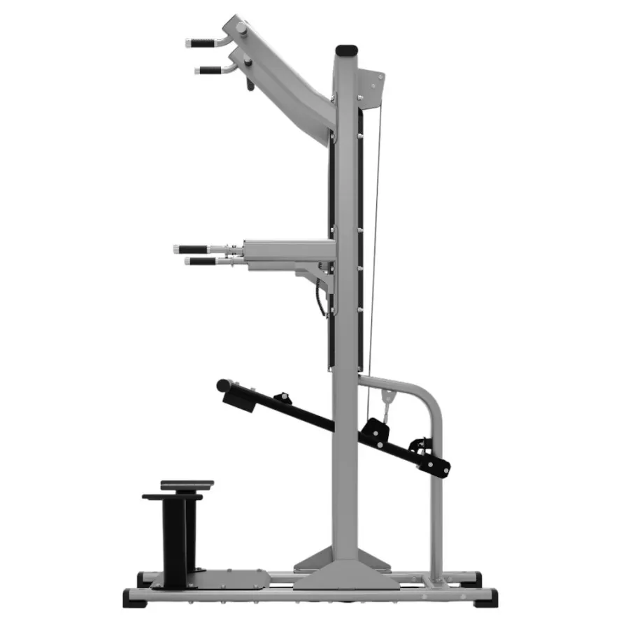 exigo-assisted-chin-dip-station-3.jpg