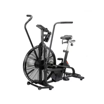 Assault Airbike Classic