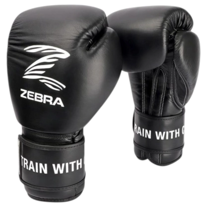 Gants de boxe "PRO SIGNATURE VELCRO"