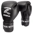 zebra-athletics-gants-de-boxe-pro-signature-velcro-1.jpg