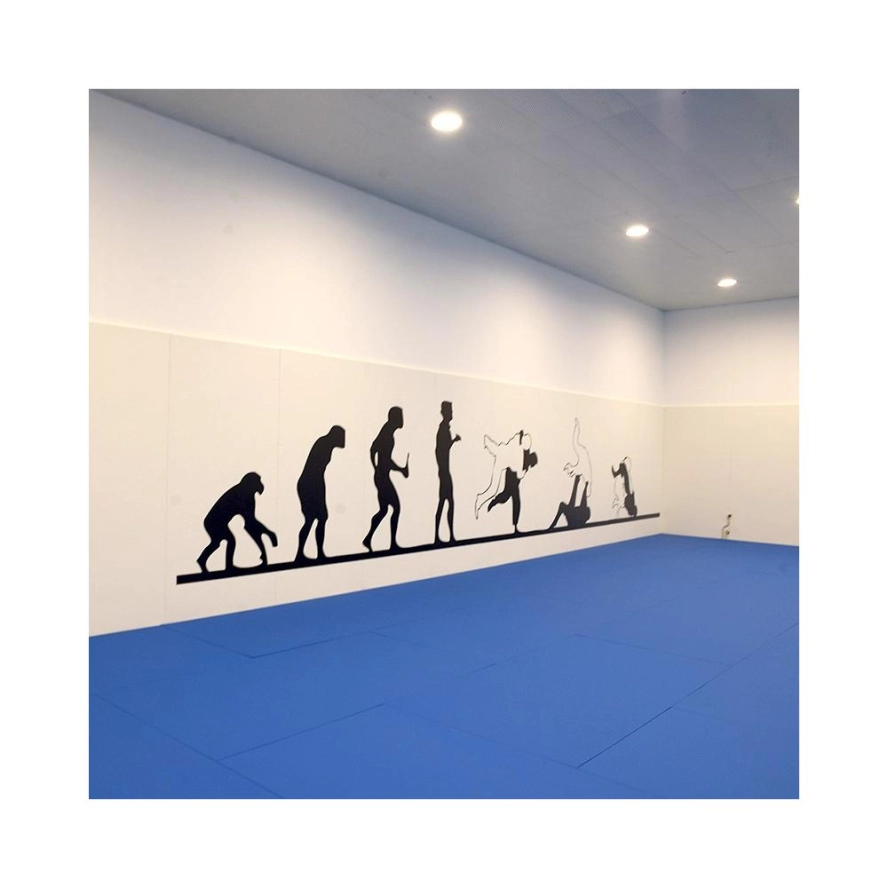 zebra-athletics-protection-murale-d-arts-martiaux-vinyle-lisse-2-x-1-m-3.jpg