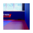 zebra-athletics-protection-murale-d-arts-martiaux-vinyle-lisse-2-x-1-m-6.jpg