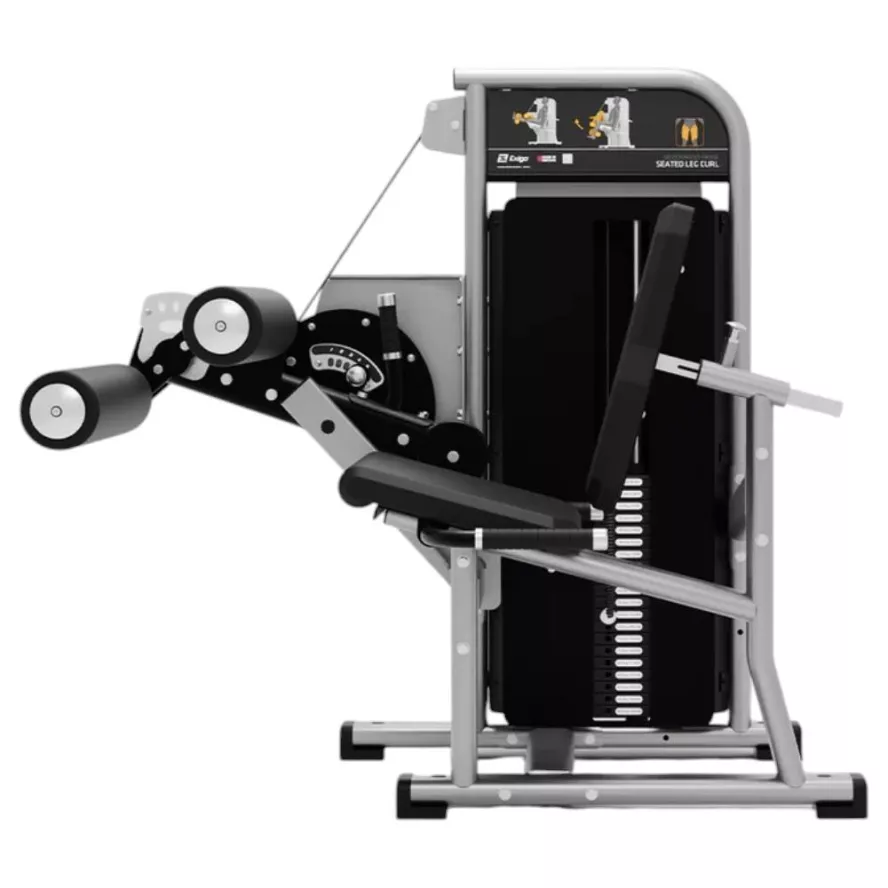 exigo-seated-leg-curl-3.jpg