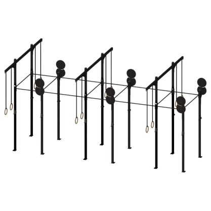 FUNCTIONAL TRAINING RIG 2