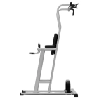 exigo-rear-chin-dip-leg-raise-station-1.jpg