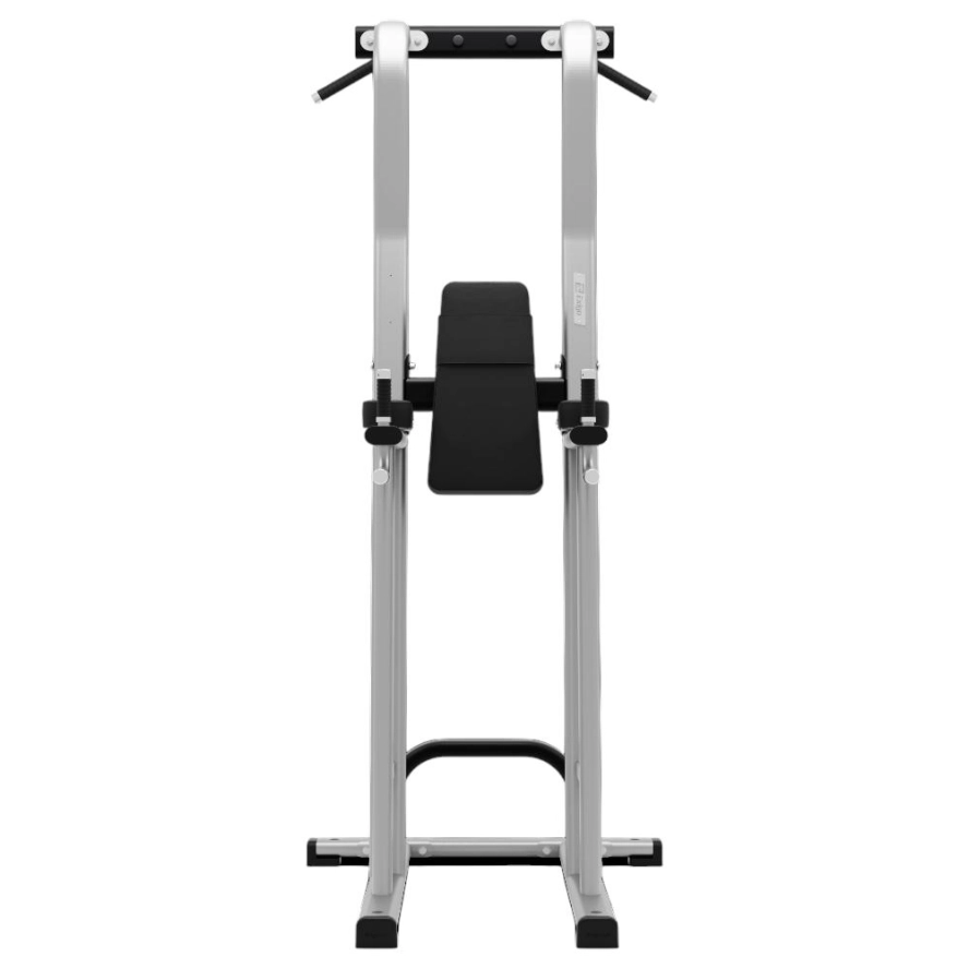 exigo-rear-chin-dip-leg-raise-station-2.jpg