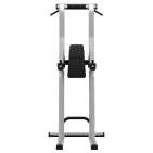 exigo-rear-chin-dip-leg-raise-station-2.jpg