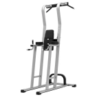 exigo-rear-chin-dip-leg-raise-station-3.jpg