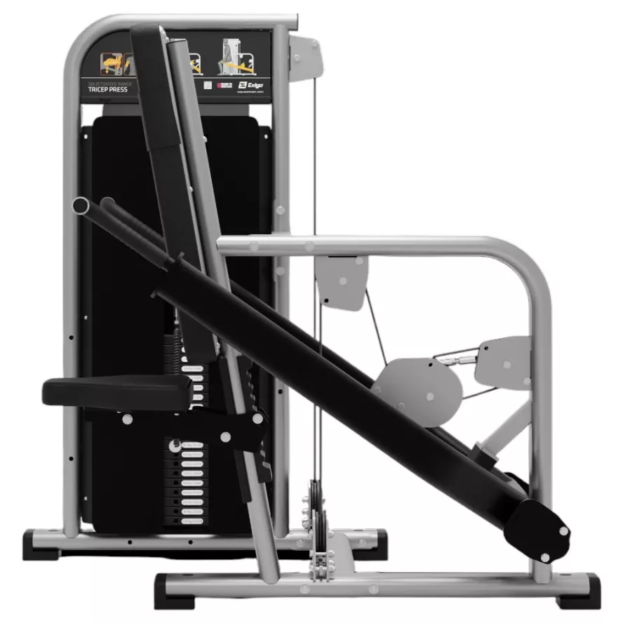 exigo-tricep-press-2.jpg