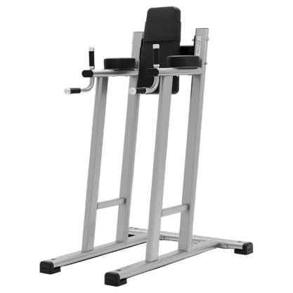 Leg Raise / Dip Station