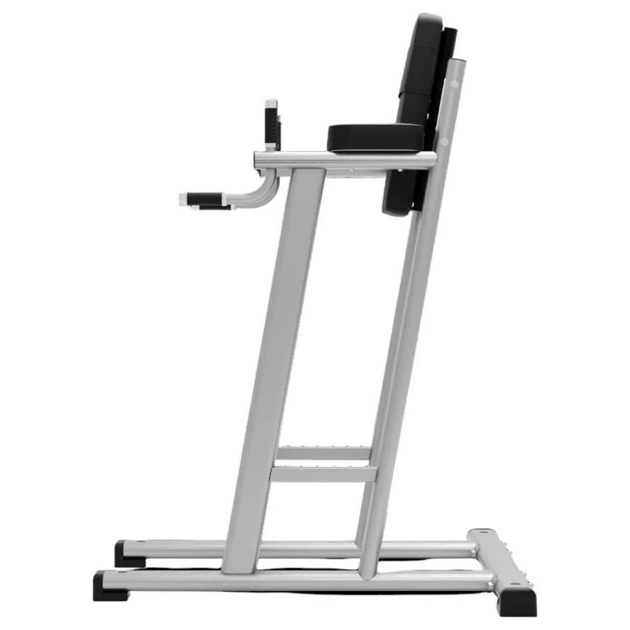 exigo-leg-raise-dip-station-2.jpg