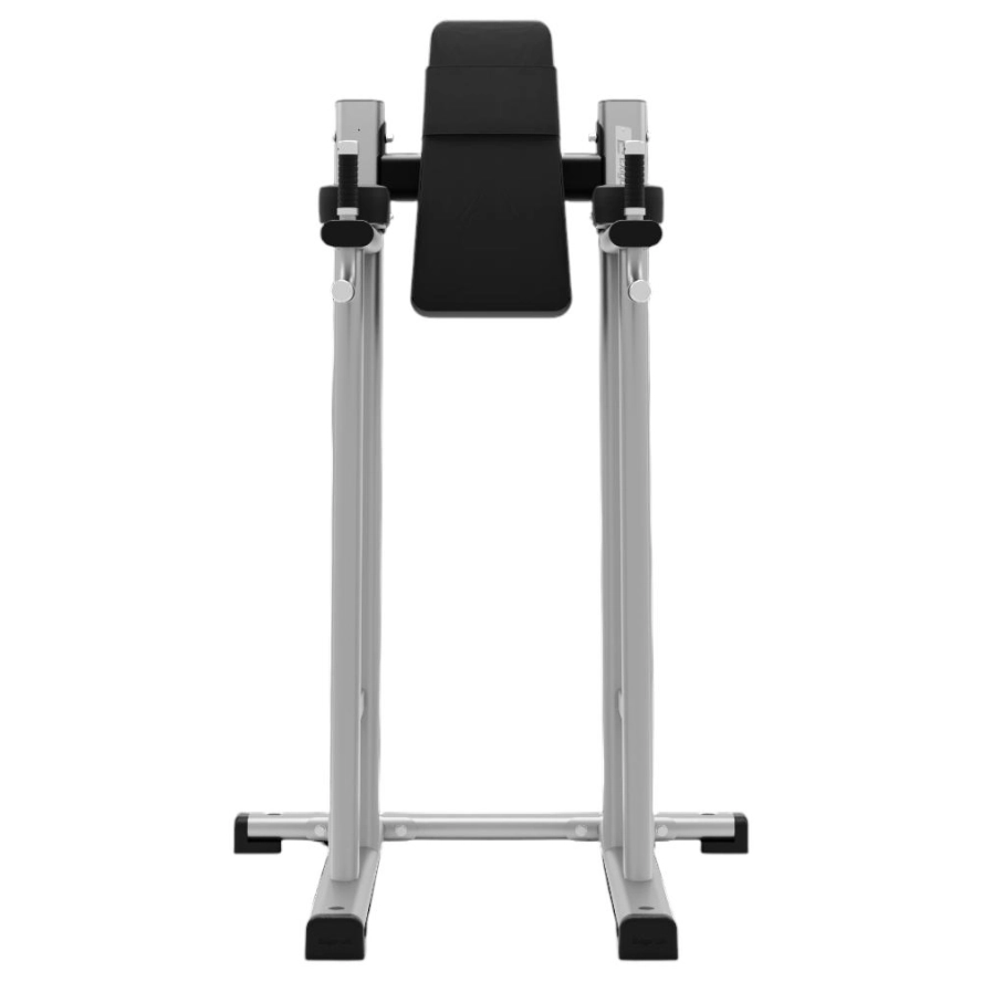 exigo-leg-raise-dip-station-3.jpg