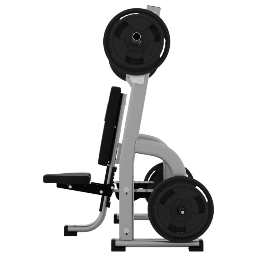 exigo-olympic-shoulder-press-bench-3.jpg
