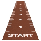 aktivturf-aktivturf-ladder-1-33-1.jpg