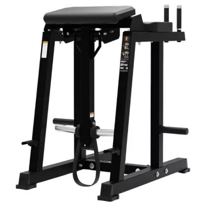 Reverse Hyper Extension - plate loaded