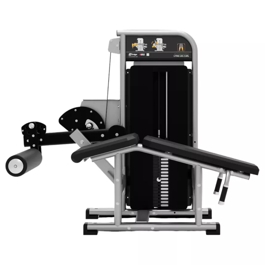 exigo-lying-leg-curl-2.jpg