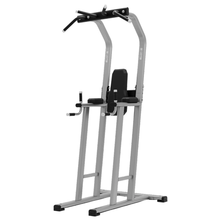 exigo-chin-dip-leg-raise-station-1.jpg