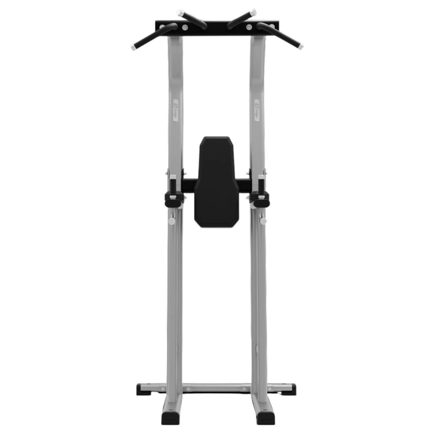 exigo-chin-dip-leg-raise-station-2.jpg