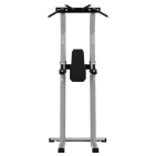 exigo-chin-dip-leg-raise-station-2.jpg
