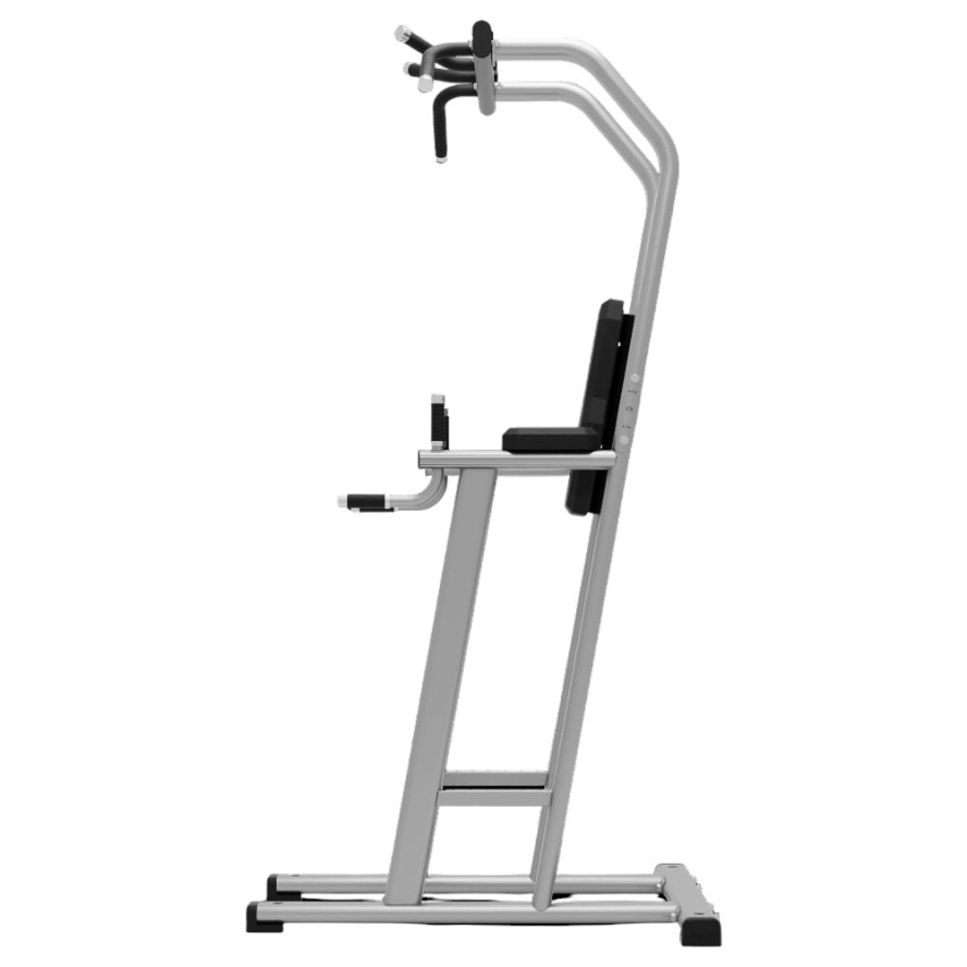 exigo-chin-dip-leg-raise-station-3.jpg