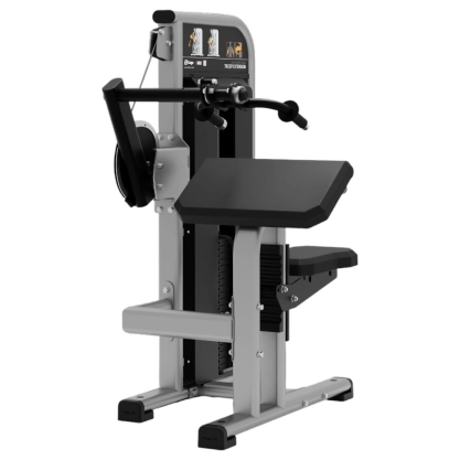 Tricep Extension