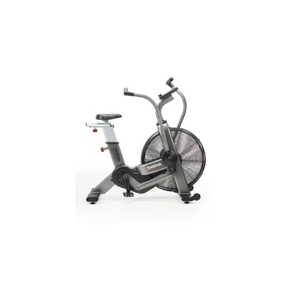 Assault Airbike Elite