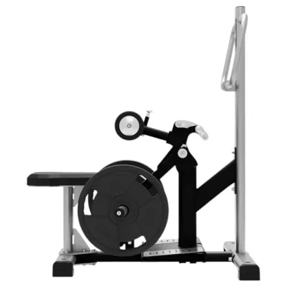 Stehender Hüftstoß - mit Gewichtsscheiben beladen