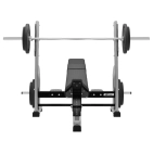exigo-olympic-incline-bench-2.jpg