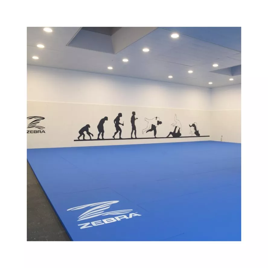 zebra-athletics-tatamis-d-arts-martiaux-vinyle-lisse-1-x-1-m-2.jpg