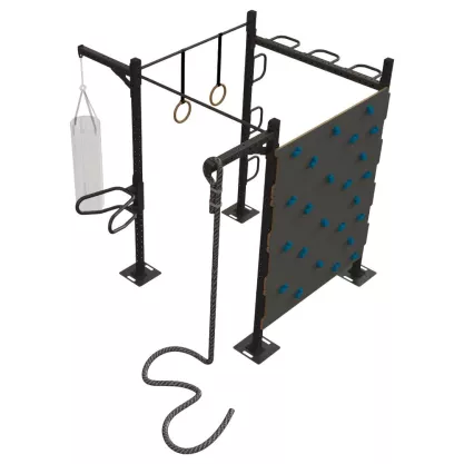 Backyard multigym rig