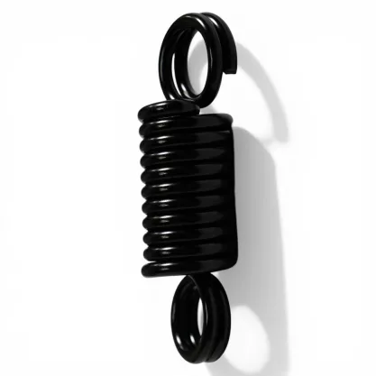 heavy bag spring