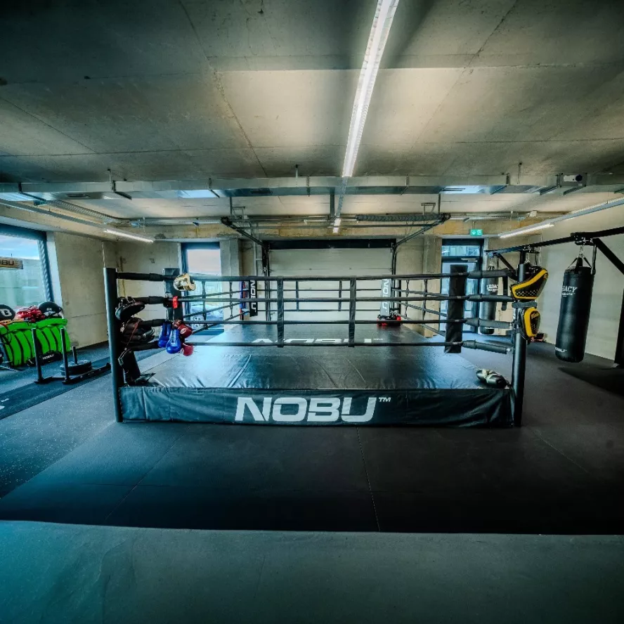 media-libraryo66spujokfnc65XwK7E