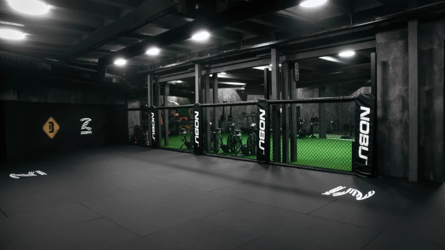 MMA in der Schweiz : Eine boomende Sportart, die immer mehr Begeisterte anzieht!