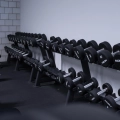 Musculation et Poids libres