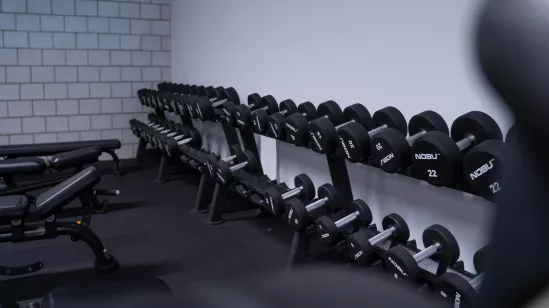 Musculation et Poids libres