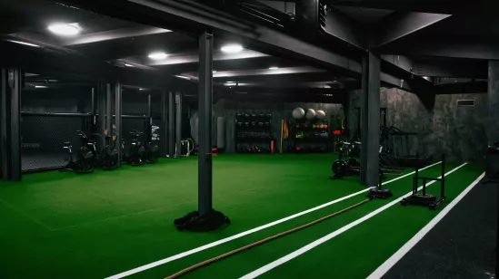 Turf / Gazon synthétique