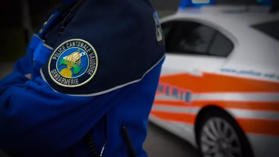 Forces Armées et Services de Sécurité