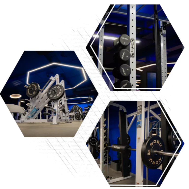 Ein maßgeschneidertes Fitnessstudio